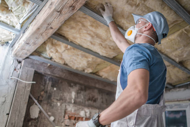 Best Geographic-Specific Insulation Services in Port Chester, NY