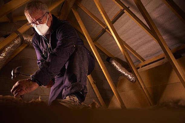 Types of Insulation We Offer in Port Chester, NY